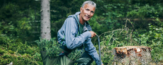 SB Skog ansatt planter nye trær.